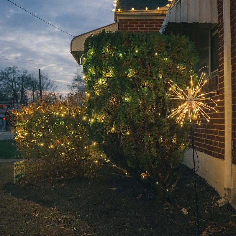 Brick building at dusk with warm white roofline bulbs, shrubs wrapped in string lights and a starburst light