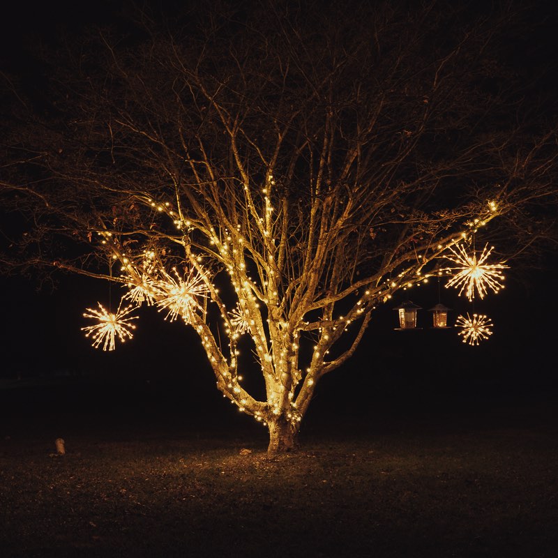 Large yard tree wrapped in warm white lights with hanging starburst lights at night
